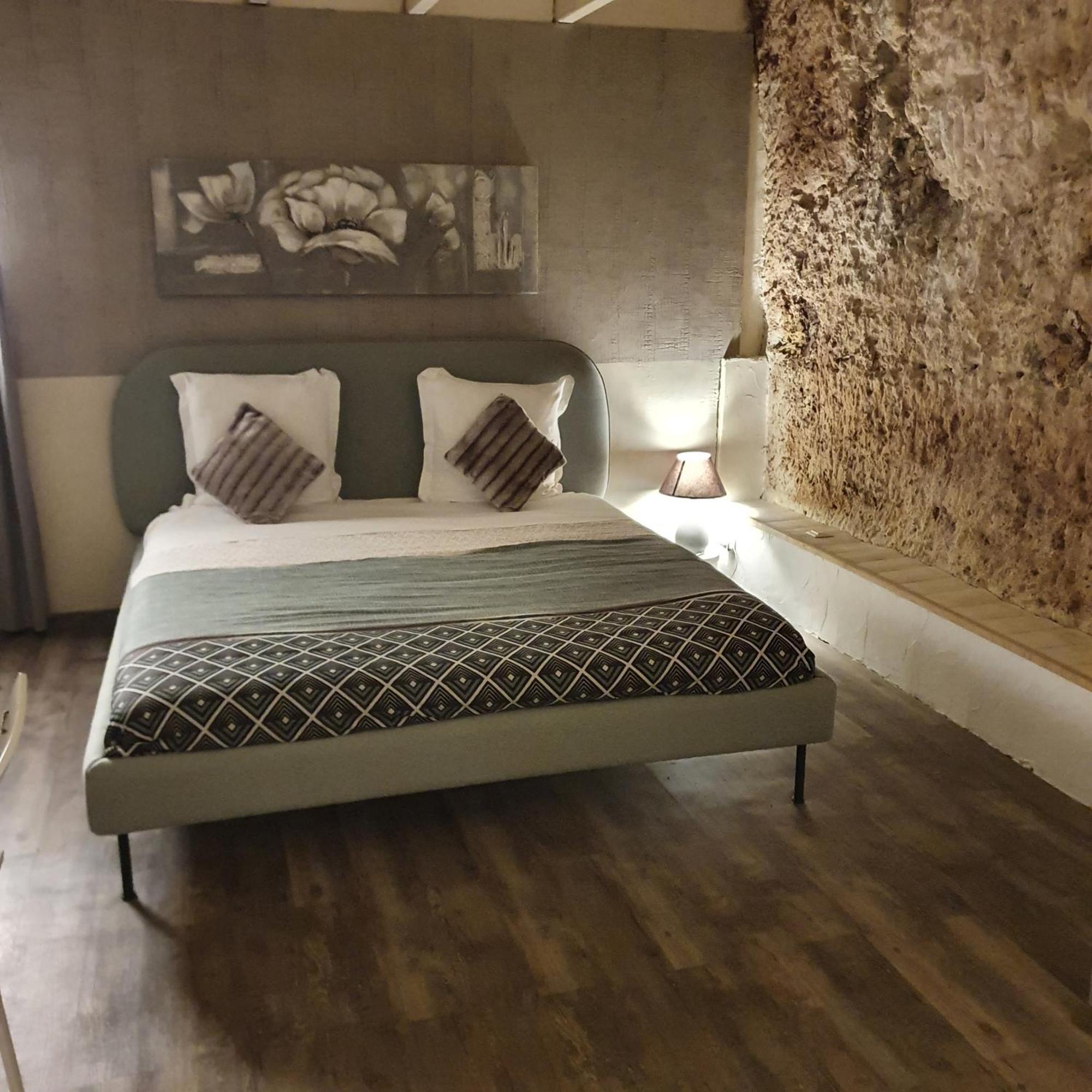 Chambres D'Hotes Troglodytes Le Clos De L'Hermitage Amboise Værelse billede