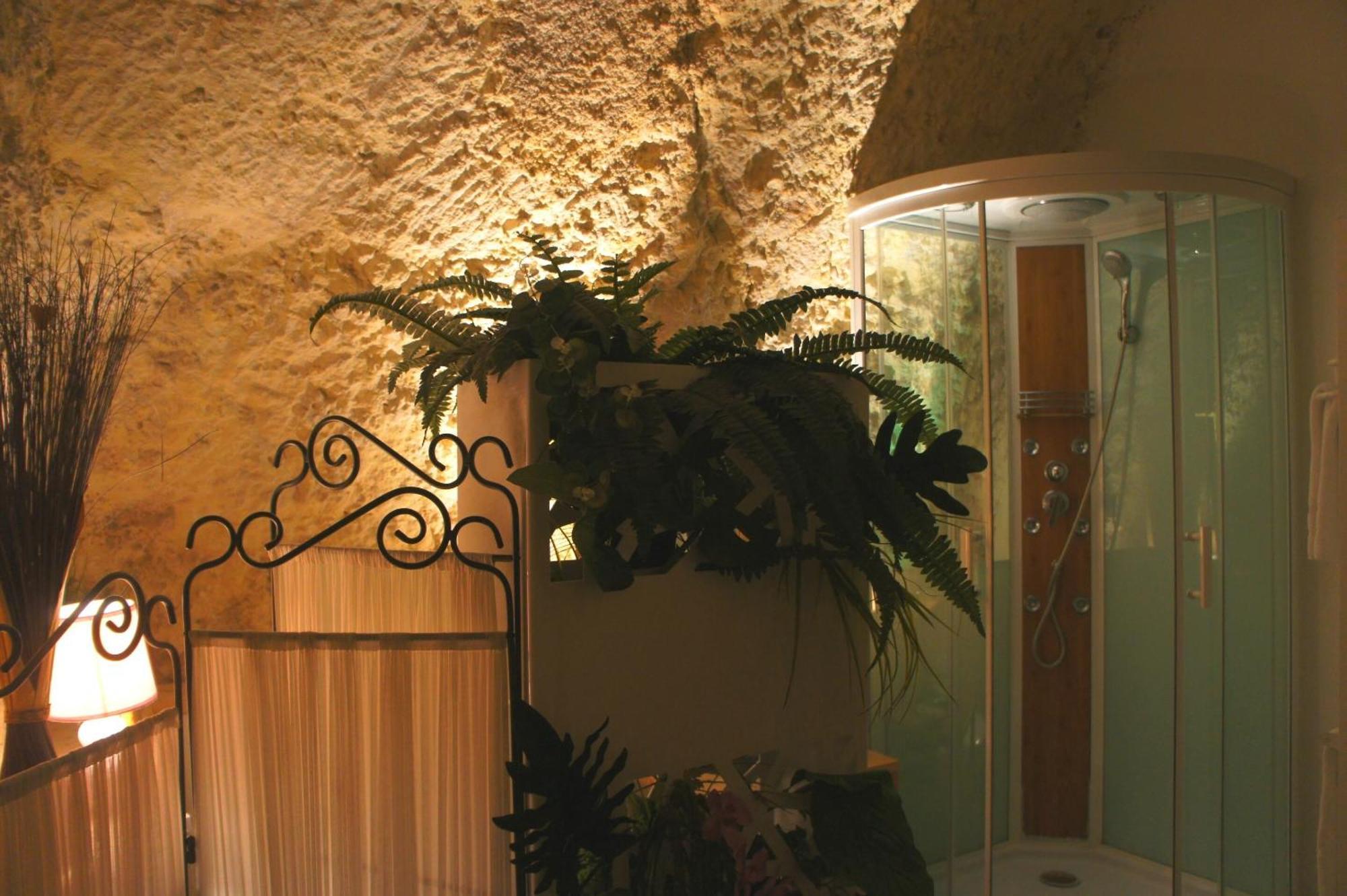 Chambres D'Hotes Troglodytes Le Clos De L'Hermitage Amboise Eksteriør billede